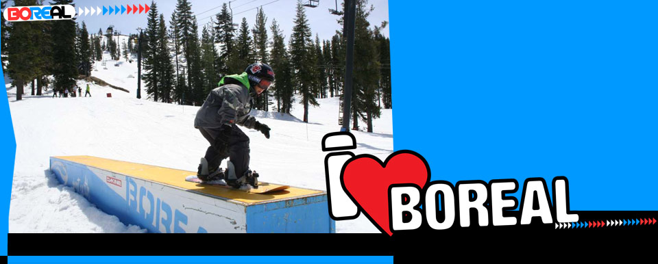 blog2010minishred.jpg