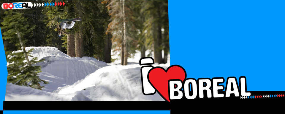 blog2010shred.jpg